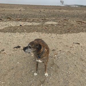 Meet your Posher, Danny